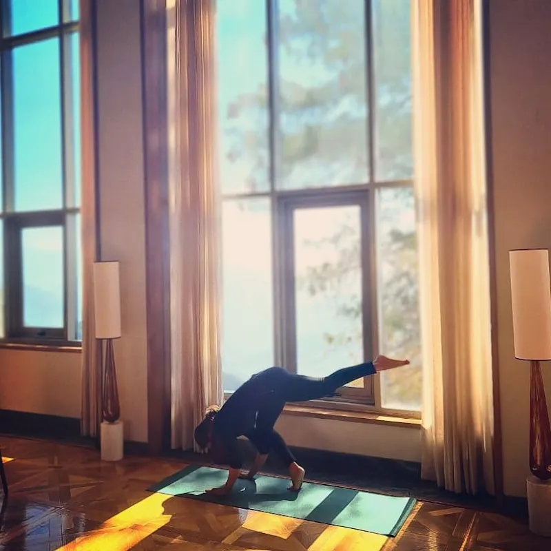 Yoga Wings Nishal Desai