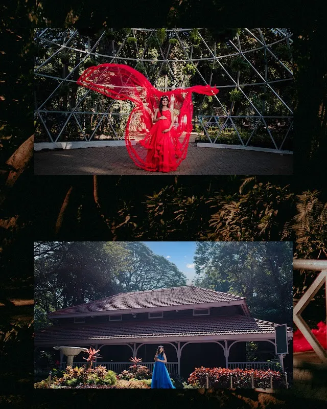 Diary Of Dreams.Weddings