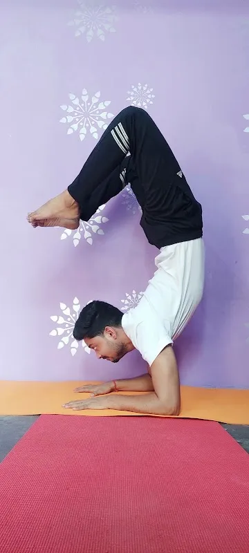 Veda Yoga studio