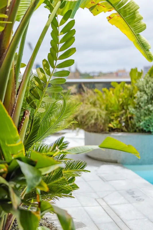 BODHI Spa at Eos by SkyCity