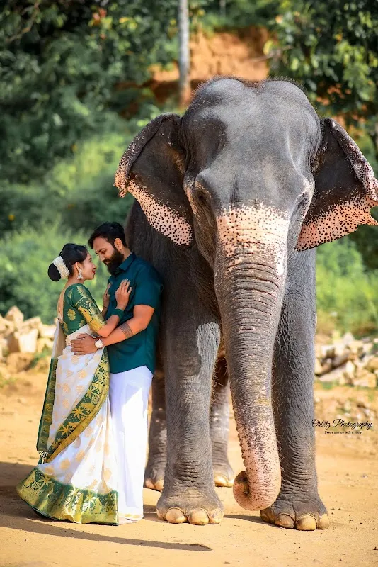 Orbitz Photography Munnar