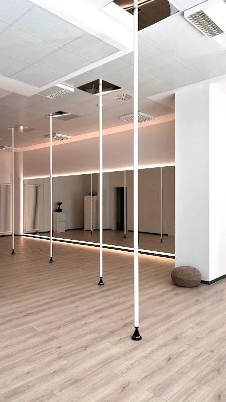 Milan Pole Dance Studio