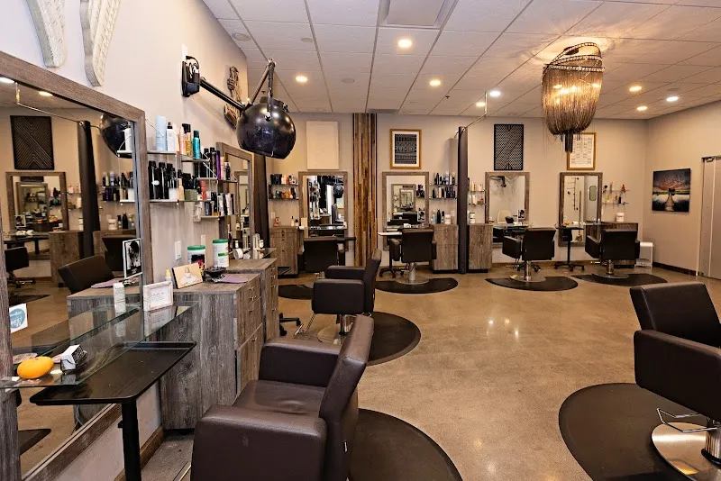 The Salon