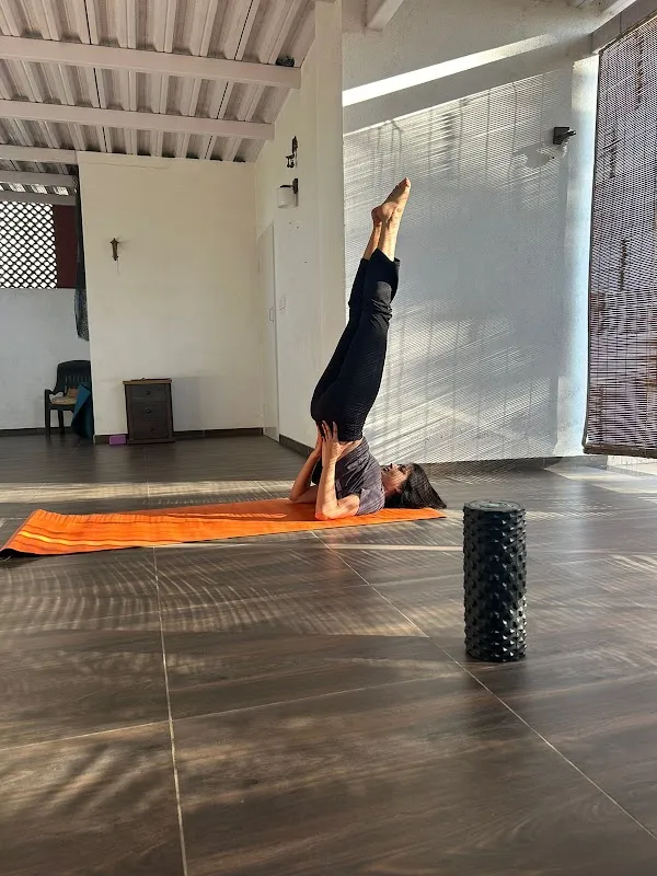 SIDDHI YOGA SHALA
