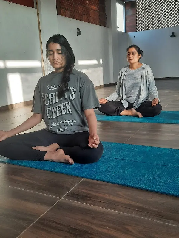 SIDDHI YOGA SHALA