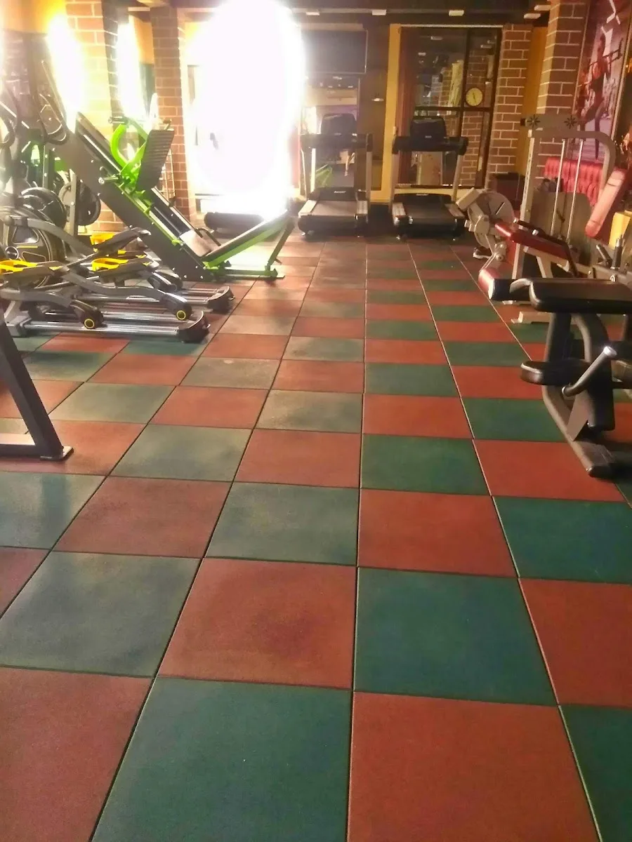 Fitness Empire