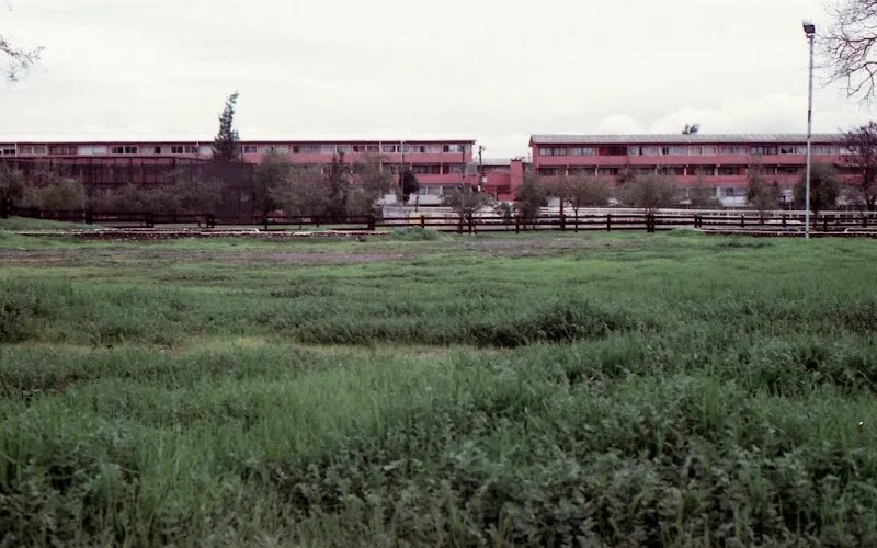 Hánimastudio