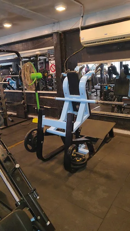 The Solitaire Fitness International
