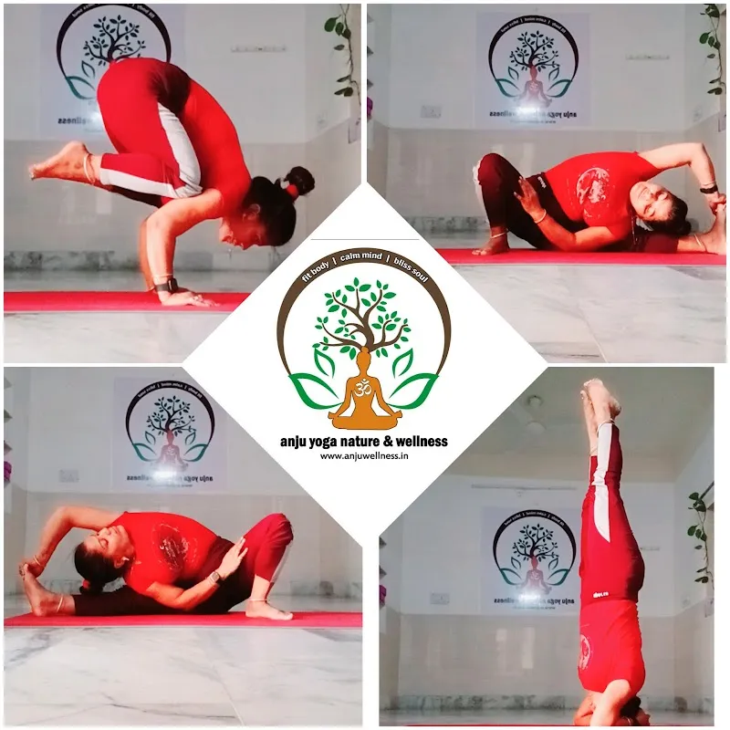 Anju Yoga Nature & Wellness