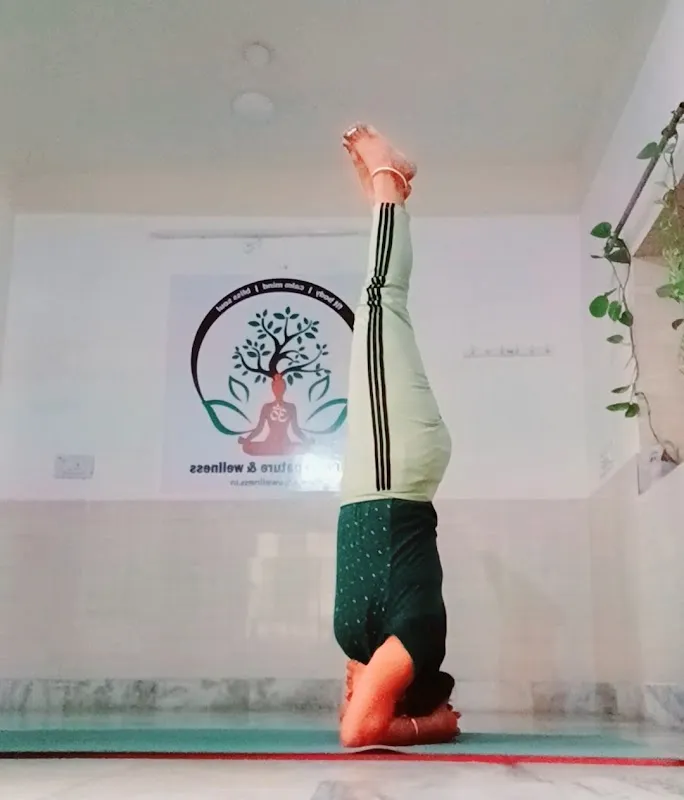 Anju Yoga Nature & Wellness
