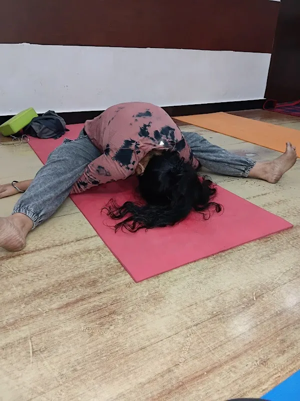 Adiyogi The Source Of Yoga Panchkarma Studio