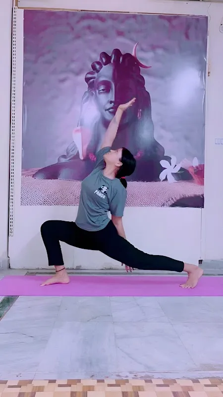 Adiyogi The Source Of Yoga Panchkarma Studio