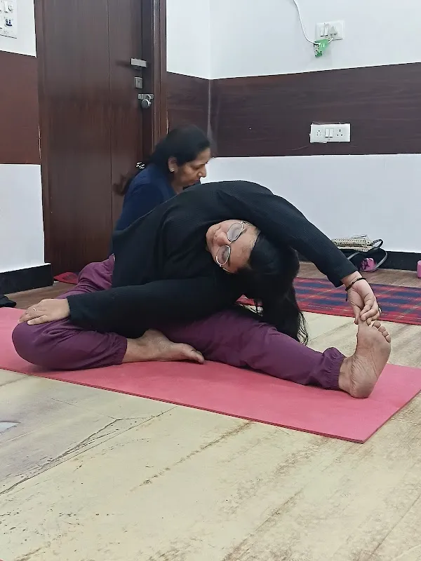 Adiyogi The Source Of Yoga Panchkarma Studio