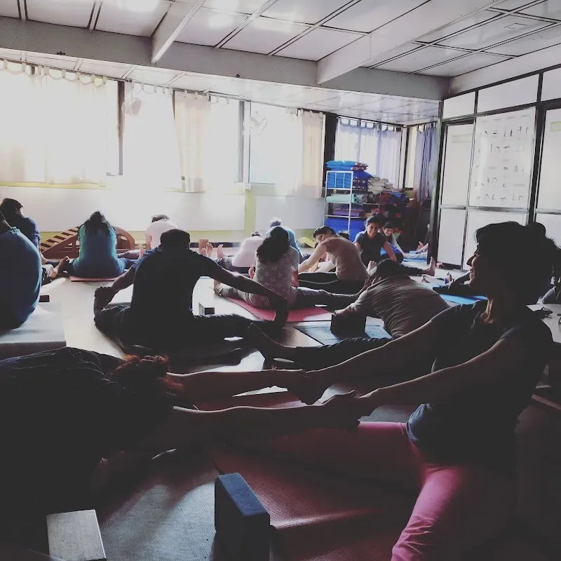 Align Yoga