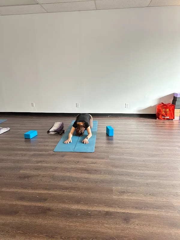 Muse4Yoga
