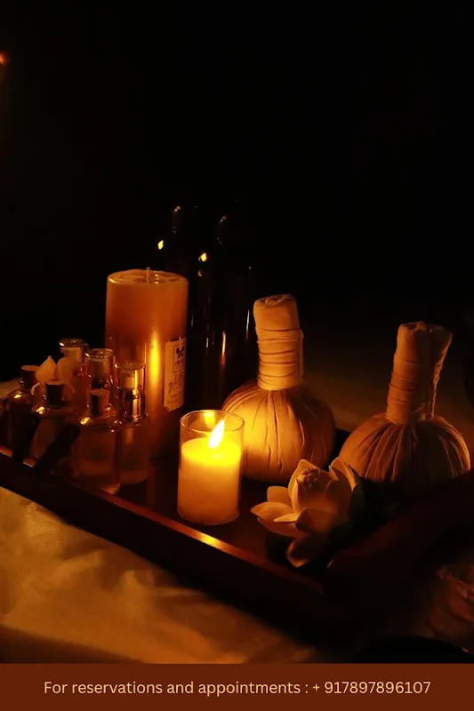 The Paradise Wellness Spa