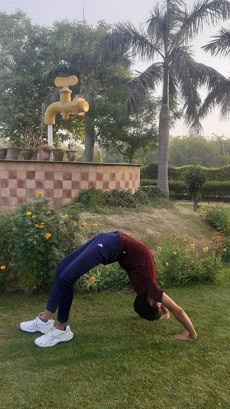 Triveni Yog Sansthan