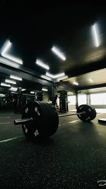 Preface Fitness