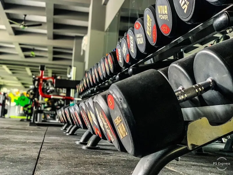 Muscle Factory
