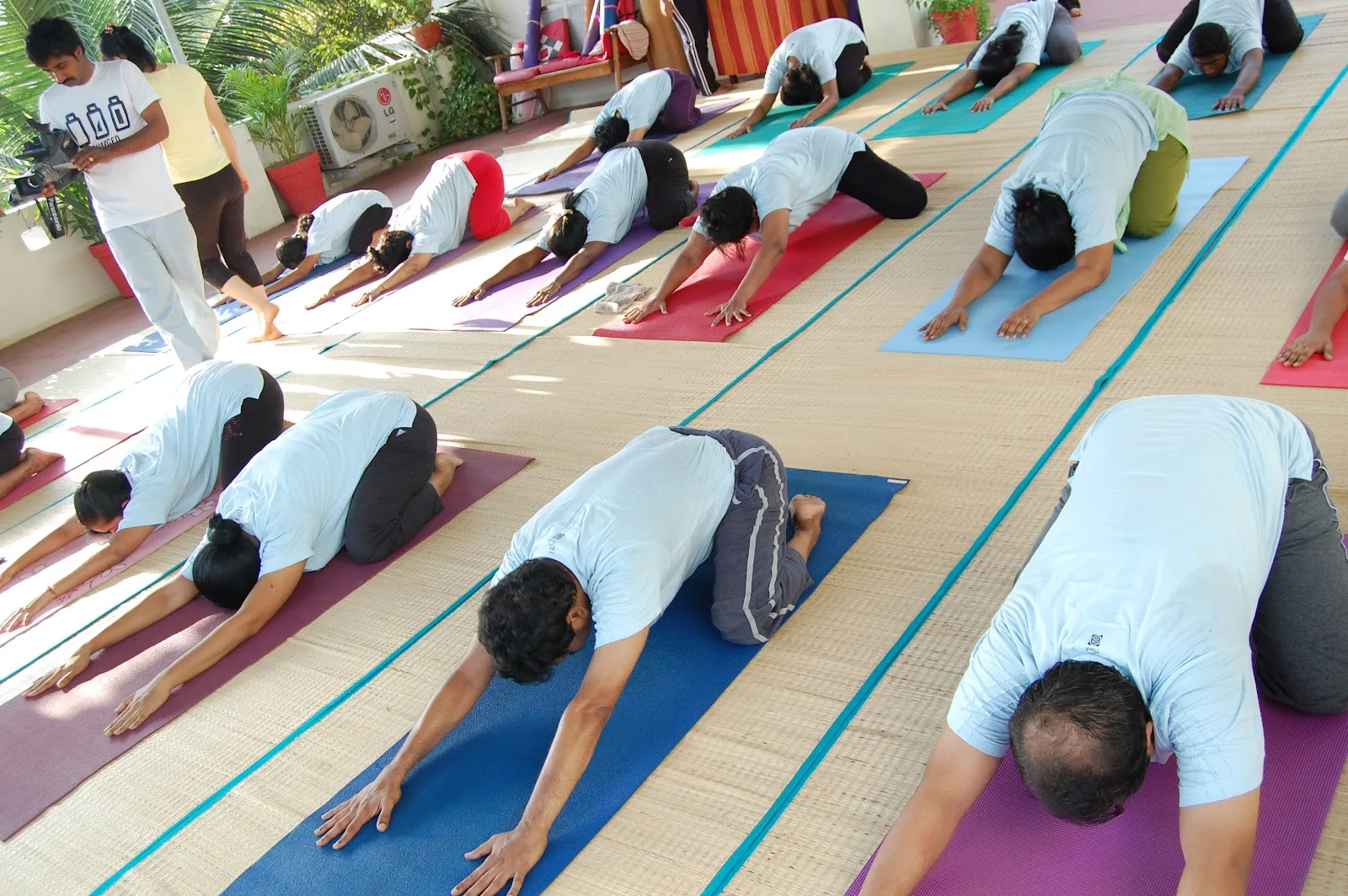 Kailash yoga kendra