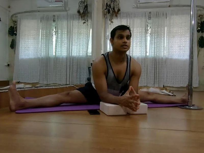 Raashvidance