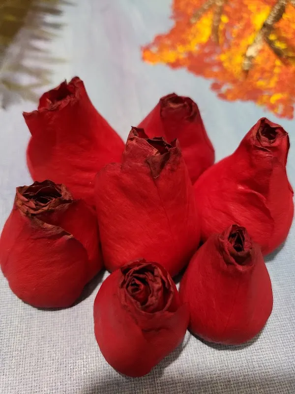 Ruyi Spa