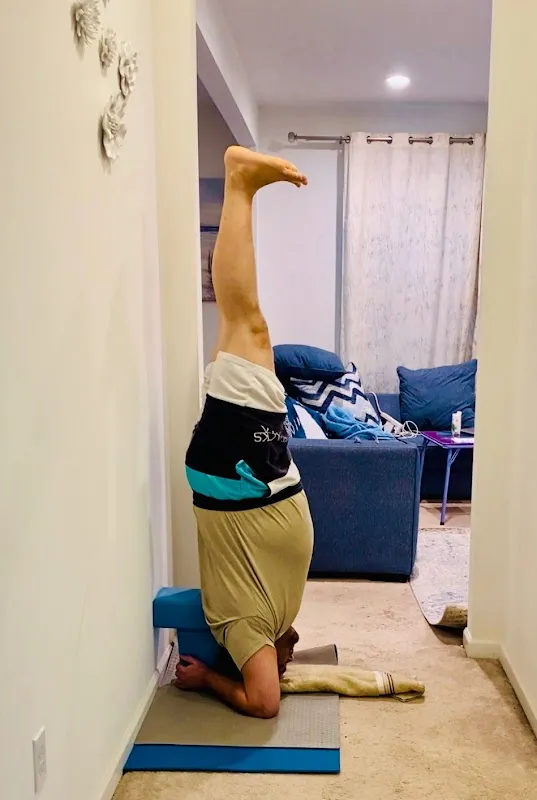 Yogatreya | Yoga Teacher Training Course (TTC 200, TTC 300)