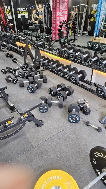 Cult Gym Ghatkopar | Best Gym in Ghatkopar, Mumbai