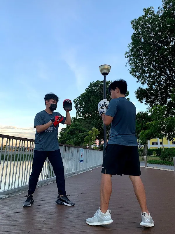 Boxing Wonders