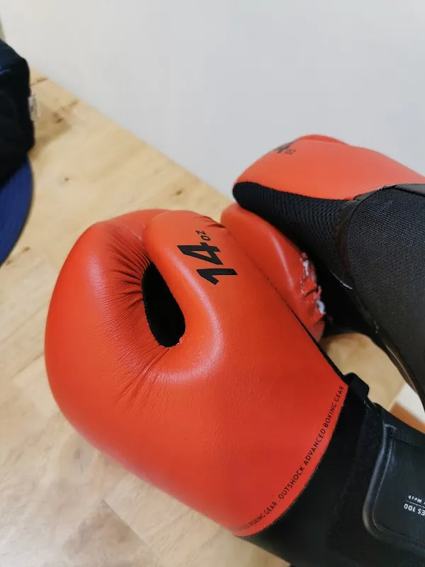 Boxing Wonders