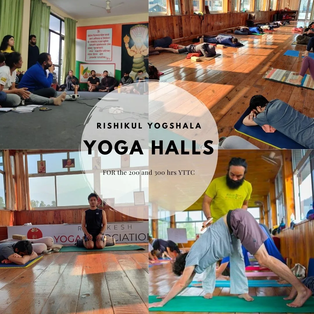 Rishikul Yogshala Rishikesh