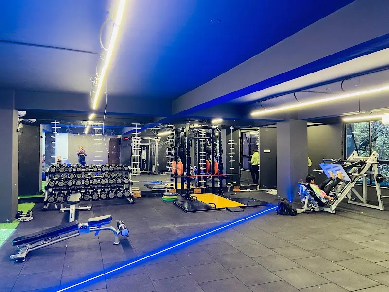 WILDFIT - An Exclusive Nutrition & Personal Training Studio
