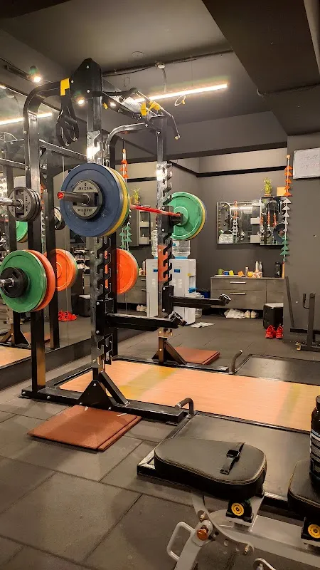 WILDFIT - An Exclusive Nutrition & Personal Training Studio