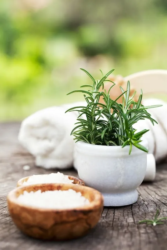 Evolve Wellness Spa Shadyside