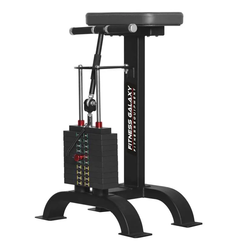 FITNESS GALAXY (Gym Equipment, Treadmill)