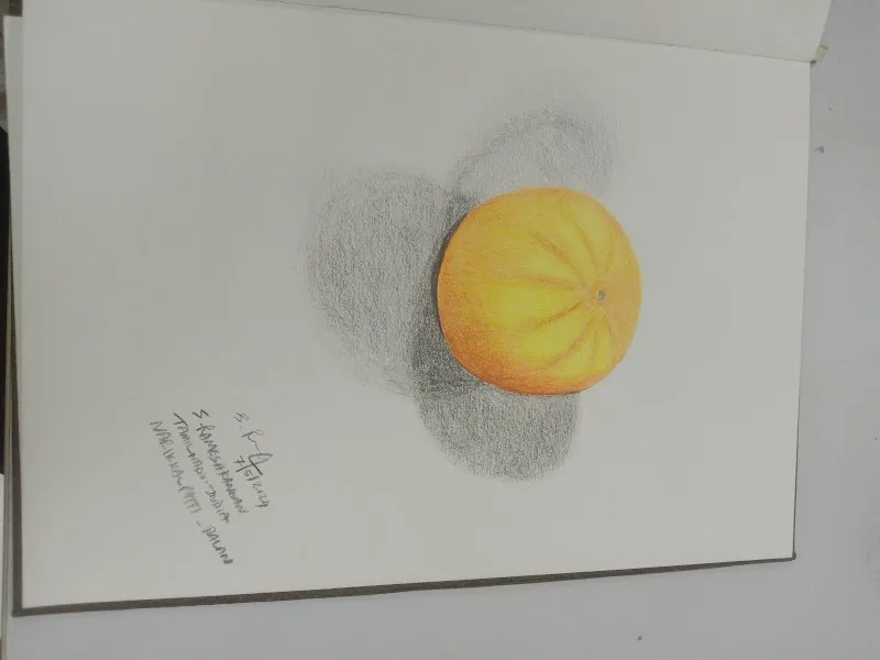 Anybody Can Draw