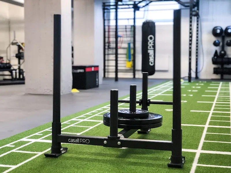 The Workout Plan Studio
