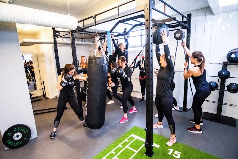 The Workout Plan Studio