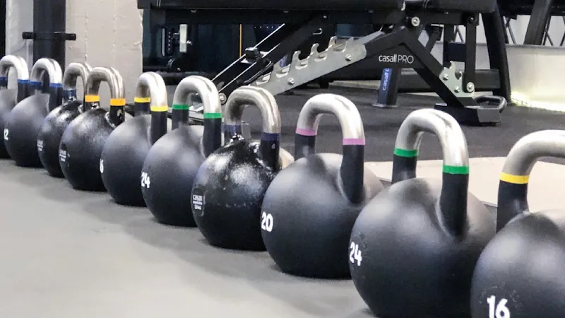 The Workout Plan Studio