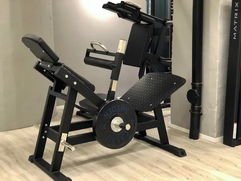 The Workout Plan Studio