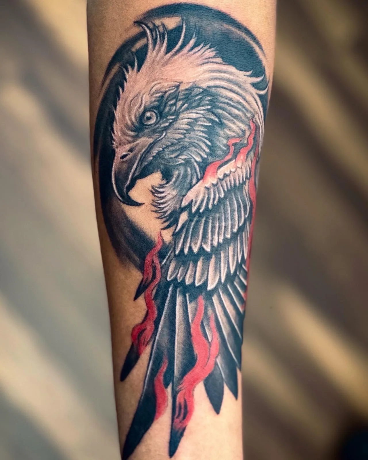 Nandi Tatoo Studio