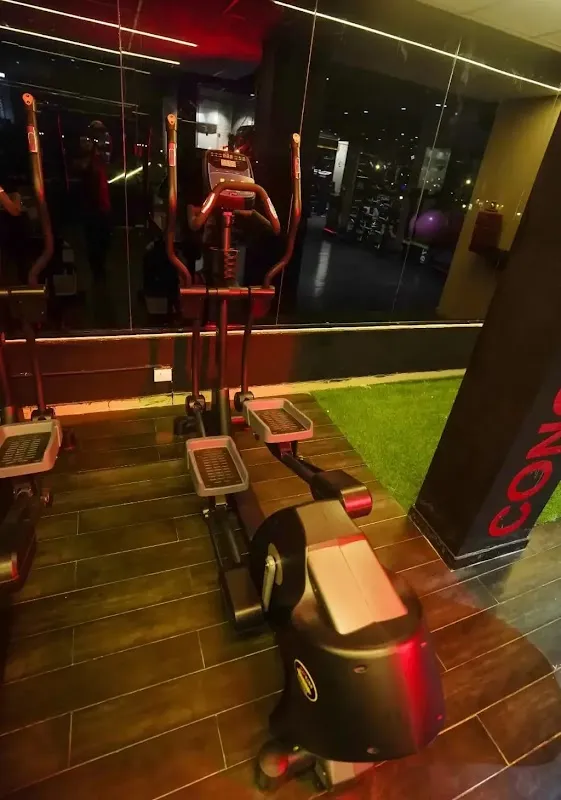 The Sweat Society Gym