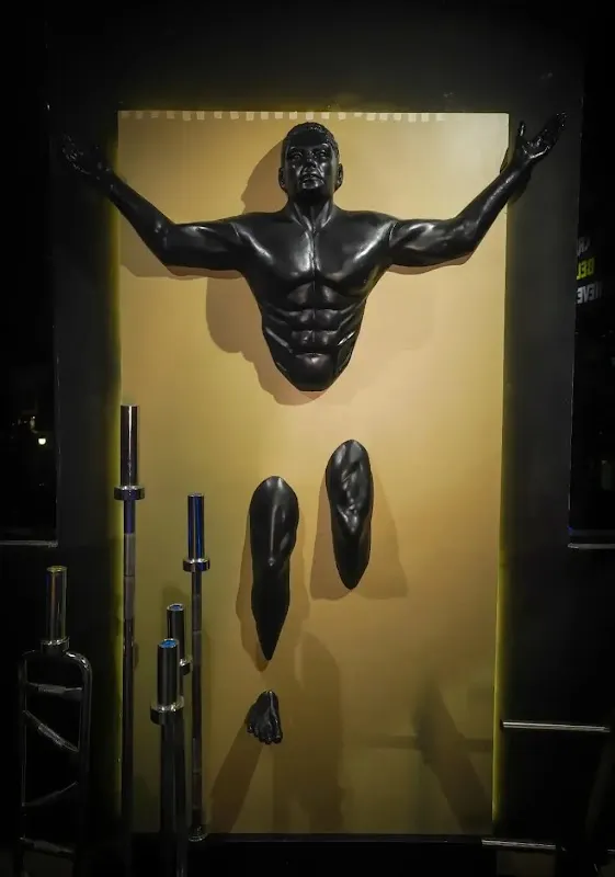 The Sweat Society Gym