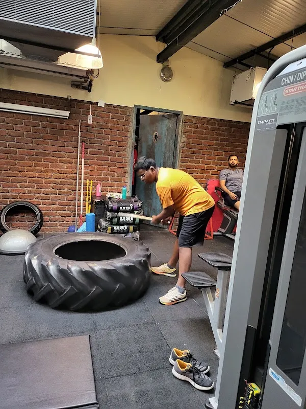 Regius_The fitness Factory NX