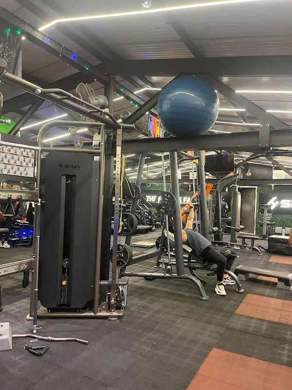Regius_The fitness Factory NX