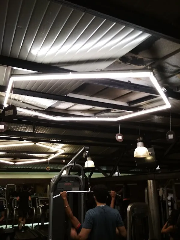 Regius_The fitness Factory NX