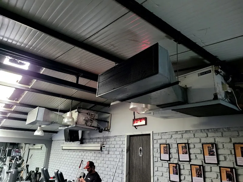 Regius_The fitness Factory NX