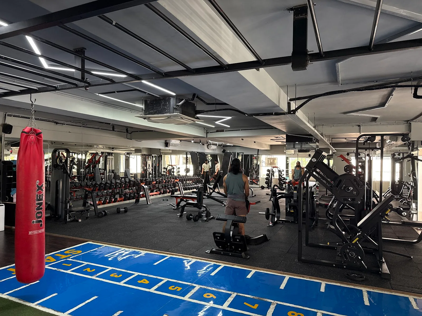 Alpha Armour Gym