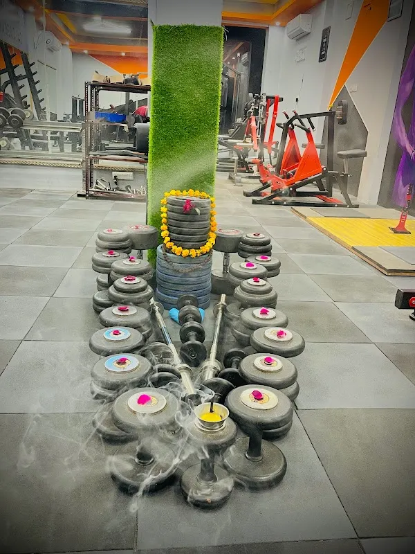 FLEX FITNESS AND GYM
