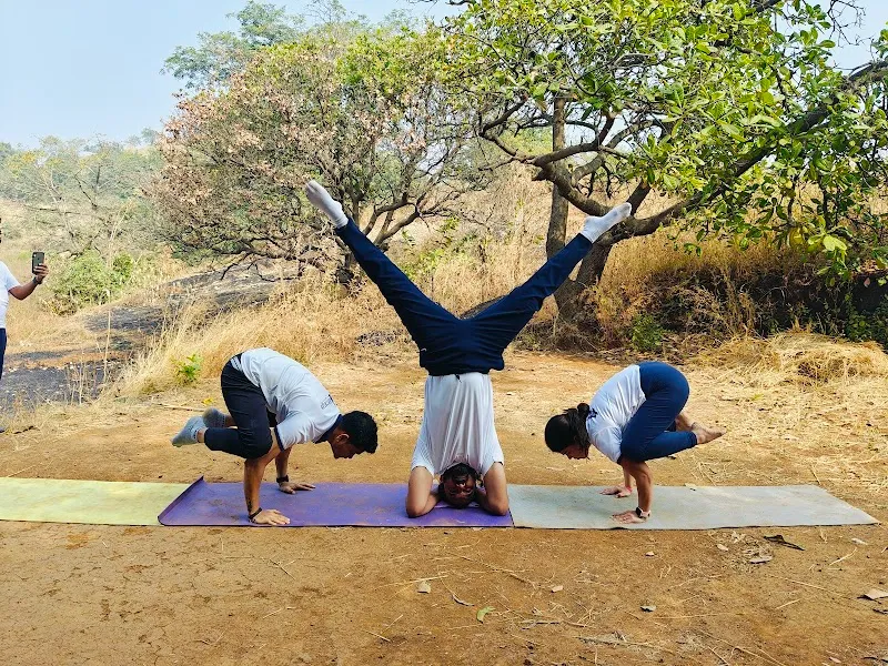 The Ashtanga Institute of Yoga & Naturopathy